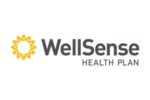 WellSense Insurance in Kimina Counseling, LLC in Auburn, MA WellSense Insurance in Kimina Counseling, LLC in Auburn, MA